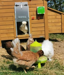 Kerbl Mehr Hühnerzubehör|Bauernhof Zubehör - Hühnerzubehör Futterautomat mit Standfüßen Hellgrün