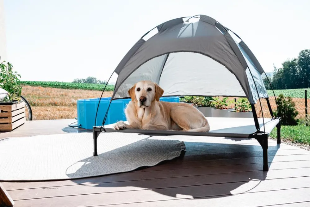 Kerbl Mehr Transport & Unterwegs|Hundebetten & Körbe > Hundeliege Vacation, , ca. B105/H75/T86 cm