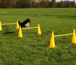 Kerbl Hundespielzeug > Hundespielzeug Agility Pylonen-Hürden Set