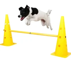 Kerbl Hundespielzeug > Hundespielzeug Agility Pylonen-Hürden Set