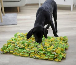 KERBL Pet Hundespielzeug - Schnüffelteppich für Hunde, ca. B70/H5/T50 cm