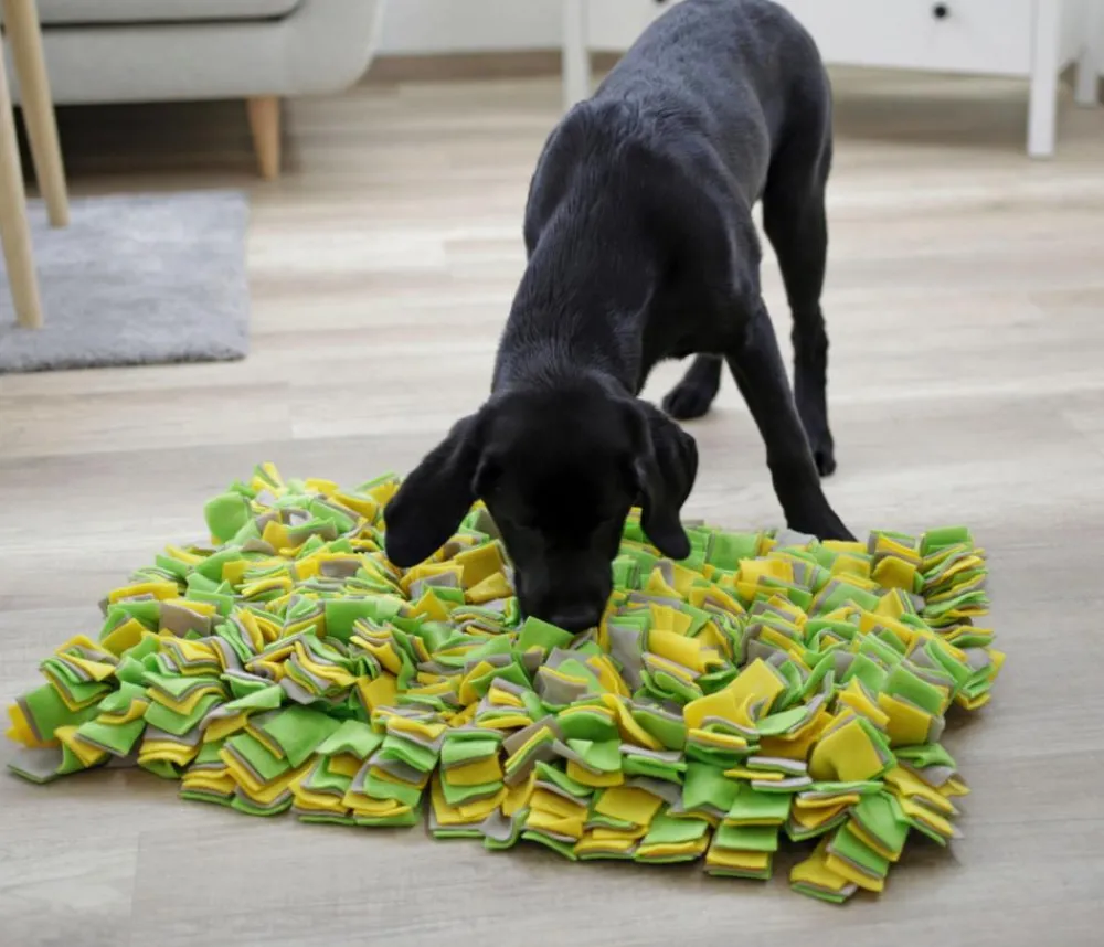 KERBL Pet Hundespielzeug - Schnüffelteppich für Hunde, ca. B70/H5/T50 cm