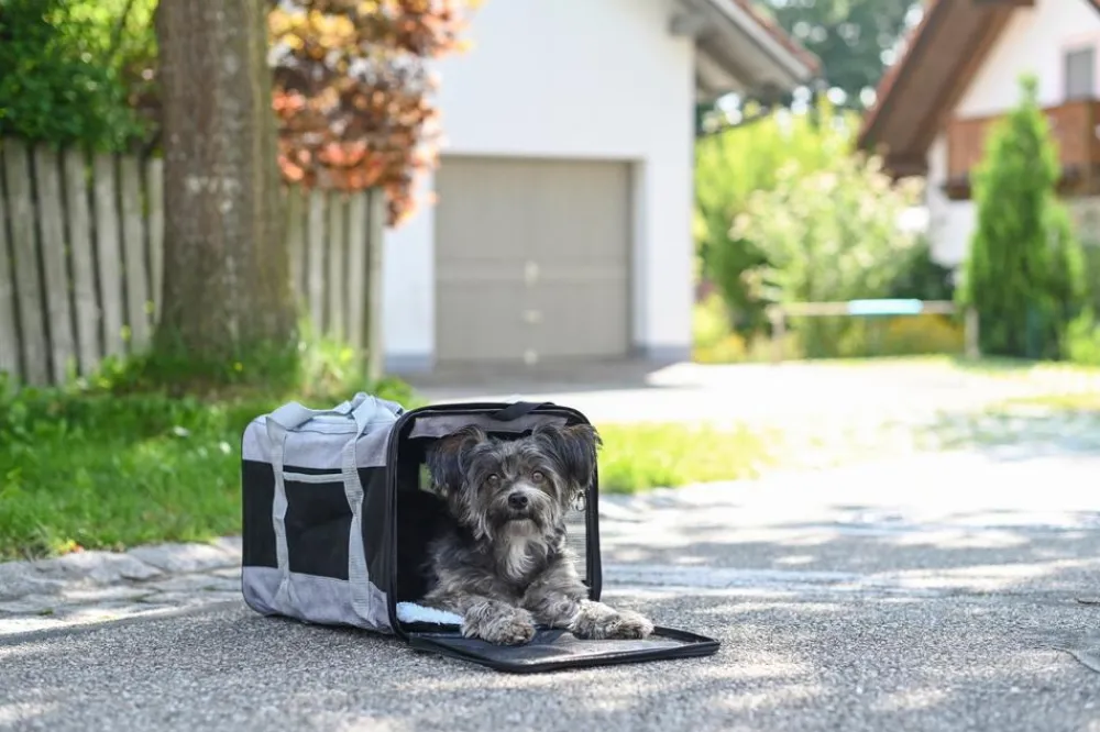 Kerbl Hundetransportboxen|Zubehör Tierarztbesuch - Tragetasche Casual, Grau
