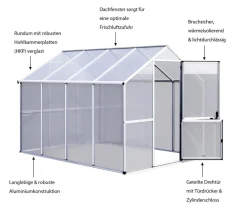 KGT Gewächshaus Callas Silber Sale