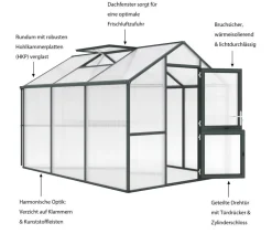 KGT Gewächshaus Iris III, ca. B233/H226/T323 cm Dunkelgrün Discount