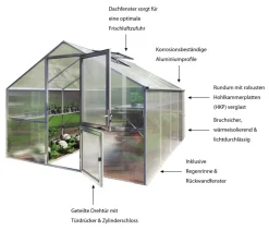 KGT Gewächshaus Orchidee III Silber Discount