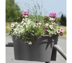 KHW Pflanzkübel & Blumenkästen - Kunststoff-Geländertopf Flowerclip, ca. B57,5/H27/T27,7 cm, 2er-Set Dunkelgrau