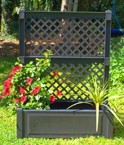 KHW Pflanzkübel & Blumenkästen > Kunststoff-Pflanz mit Spalier, ca. B100/H140/T43 cm