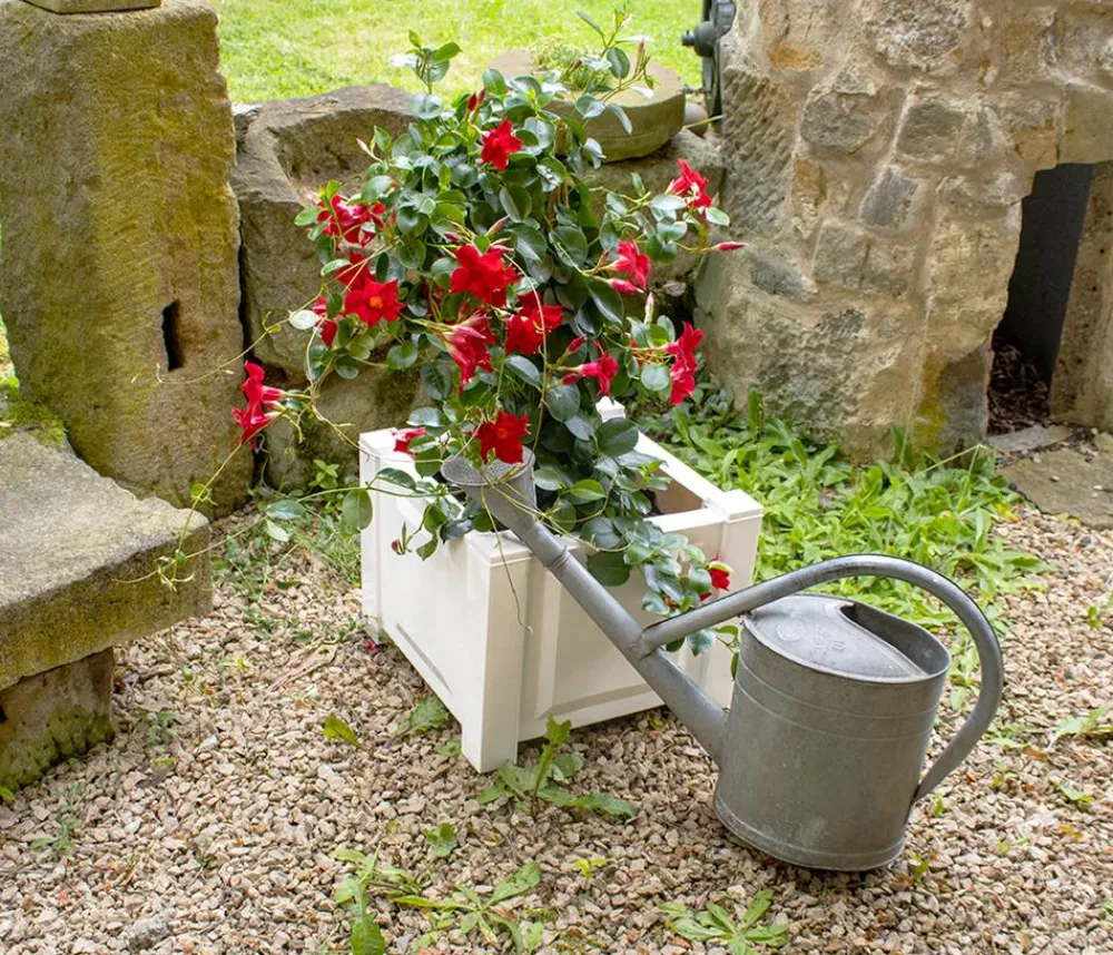 KHW Pflanzkübel & Blumenkästen > Kunststoff-Pflanzkasten, ca. B43/H41/T43 cm