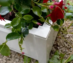 KHW Pflanzkübel & Blumenkästen > Kunststoff-Pflanzkasten, ca. B43/H41/T43 cm