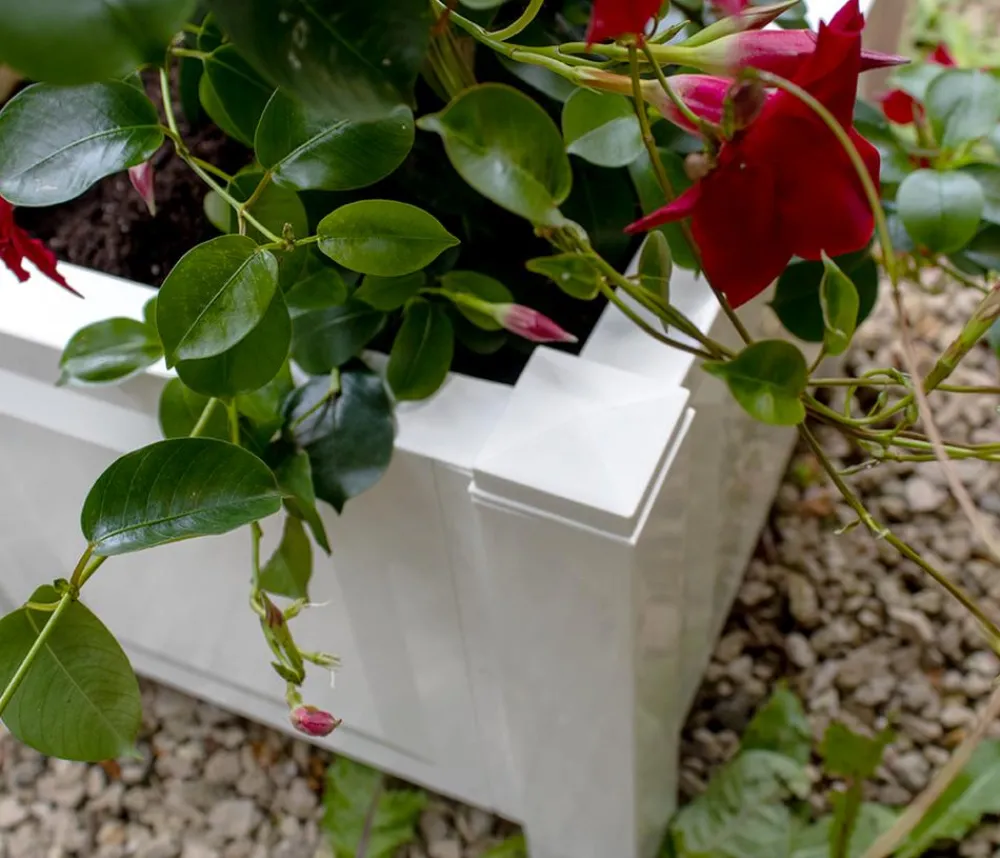 KHW Pflanzkübel & Blumenkästen > Kunststoff-Pflanzkasten, ca. B43/H41/T43 cm