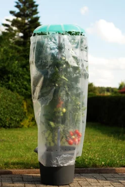 KHW Pflanzenfolien & Ernteschutz - Tomatenhut Grün