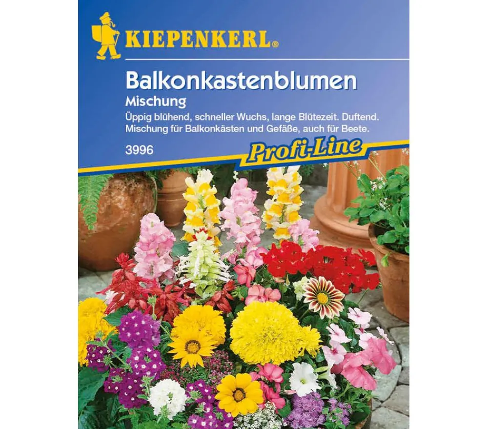 Nebelung/Kiepenkerl Kiepenkerl Saatgut Balkonkastenblumen Mix Bunt Clearance