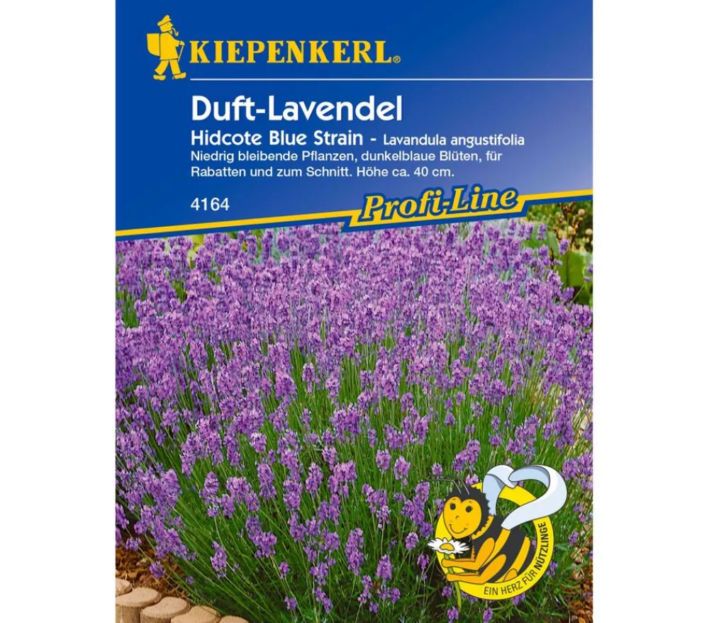 Nebelung/Kiepenkerl Kiepenkerl Saatgut Duft-Lavendel 'Hidcote Blue Strain' Blau Discount