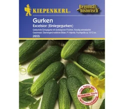 Nebelung/Kiepenkerl Gemüsesamen > Kiepenkerl Saatgut Gurken 'Excelsior'