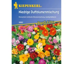 Nebelung/Kiepenkerl Kiepenkerl Saatgut Niedrige Duftblumenmischung Bunt New