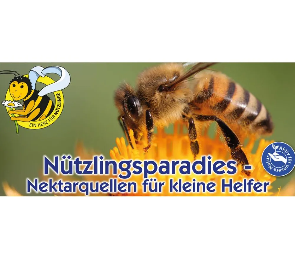 Nebelung/Kiepenkerl Blumensamen > Kiepenkerl Saatgut Nützlingswiese Mix