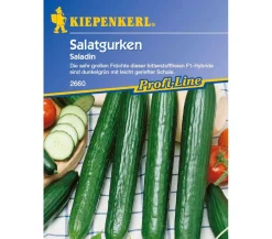 Nebelung/Kiepenkerl Gemüsesamen - Kiepenkerl Saatgut Salatgurke 'Saladin'