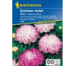 Nebelung/Kiepenkerl Kiepenkerl Saatgut Sommer-Aster 'Opus' New