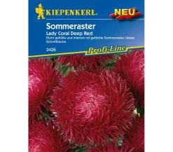 Nebelung/Kiepenkerl Blumensamen - Kiepenkerl Saatgut Sommeraster 'Lady Coral Deep Red' Rot