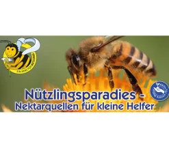 Nebelung/Kiepenkerl Kiepenkerl Saatgut Sonnenblume 'Samtkönigin' Rot Hot