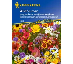 Nebelung/Kiepenkerl Kiepenkerl Saatgut Wildblumen Amerikanische Landblumenmischung Bunt Sale