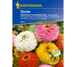 Nebelung/Kiepenkerl Blumensamen > Kiepenkerl Saatgut Zinnie Oklahoma Mix