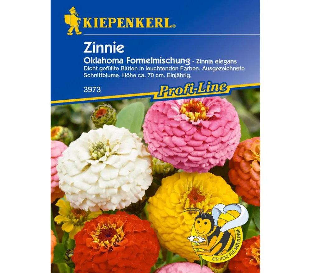 Nebelung/Kiepenkerl Blumensamen > Kiepenkerl Saatgut Zinnie Oklahoma Mix