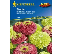 Nebelung/Kiepenkerl Blumensamen - Kiepenkerl Saatgut Zinnie 'Red Lime Green'