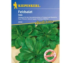 Nebelung/Kiepenkerl Gemüsesamen - Kiepenkerl Samen Feldsalat 'Gala'