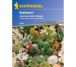 Nebelung/Kiepenkerl Kiepenkerl Samen Kakteen Sale