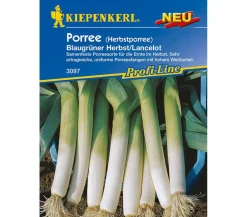 Nebelung/Kiepenkerl Gemüsesamen > Kiepenkerl Samen Porree 'Blauer Herbst'
