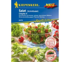 Nebelung/Kiepenkerl Kiepenkerl Samen Salat 'Crispita II'