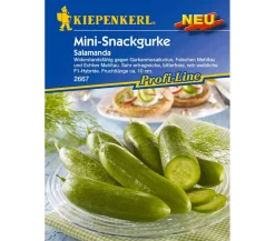 Nebelung/Kiepenkerl Kiepenkerl Samen Salatgurke 'Salamanda' Grün Best
