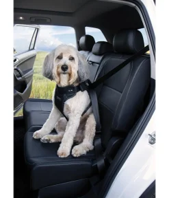 kleinmetall® Mehr Transport & Unterwegs|Hundehalsbänder & Geschirre > Hundeicherheitgurt Dogater 2.0