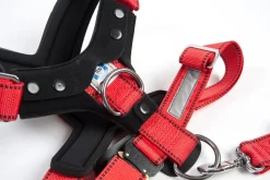 kleinmetall® Mehr Transport & Unterwegs|Hundehalsbänder & Geschirre > Hundeicherheitgurt Aafe Cofort