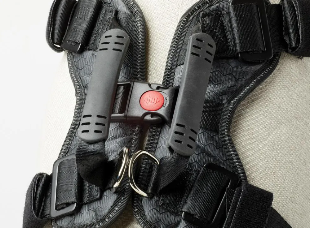 kleinmetall® Hundeicherheitgurt Dogater 2.0 Schwarz Online