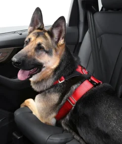kleinmetall® Hundeicherheitgurt Aafe Cofort Rot Discount