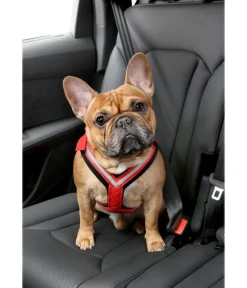 kleinmetall® Mehr Transport & Unterwegs|Hundehalsbänder & Geschirre - Hundeicherheitgurt Aafe Cofort Rot