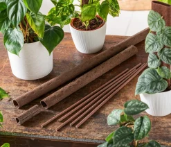 Kratiste Mehr Blumentopfzubehör > Kletterstange