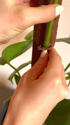 Kratiste Mehr Blumentopfzubehör - stab oval Braun