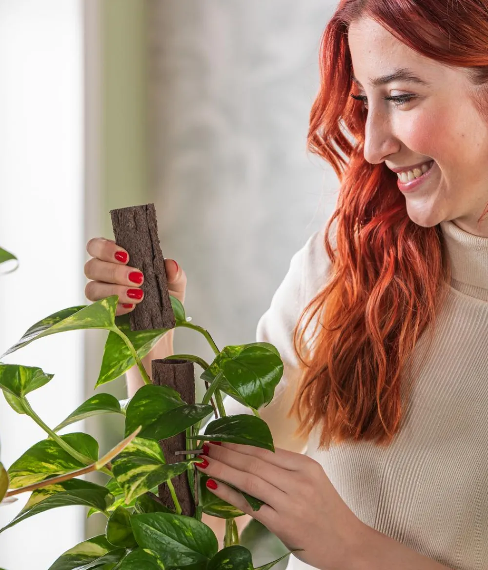 Kratiste Mehr Blumentopfzubehör - Verlängerung Braun