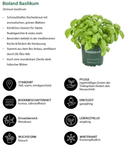 Dehner Kräuter-Sets|Küchenkräuter > Kräuter-Set Küchenkräuter, 6-teilig