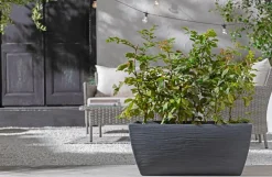 Dehner Pflanzkübel & Blumenkästen > Kunststoff-Pflanzkasten Rille, ca. B80/H34/T40 cm, anthrazit