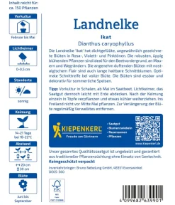 Nebelung/Kiepenkerl Blumensamen - Landnelke Ikat, Saatgut von Kiepenkerl