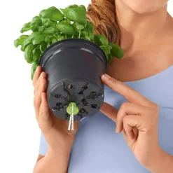 LECHUZA® Lechuza Pflanzgefäße & Töpfe|Mehr Blumentopfzubehör - Bewässerungs-Stick, 6er-Set Hellgrün