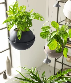 LECHUZA® Lechuza Pflanzgefäße & Töpfe|Blumenampeln & -Schalen > BOLA Color, All-in-One Set