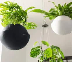 LECHUZA® Lechuza Pflanzgefäße & Töpfe|Blumenampeln & -Schalen - BOLA Color, All-in-One Set Dunkelgrau