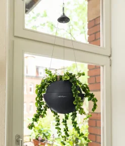 LECHUZA® Lechuza Pflanzgefäße & Töpfe|Blumenampeln & -Schalen - BOLA Color, All-in-One Set Dunkelgrau