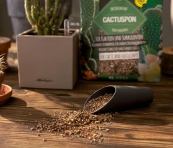 LECHUZA® CACTUSPON Pflanzsubstrat Sale